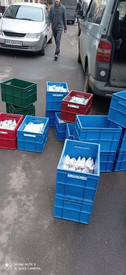 Food – Powdered Milk