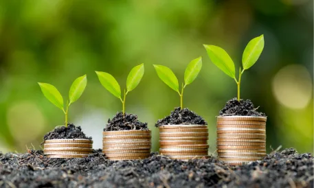 Venture Capital 2.webp