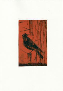 Janvier, à l'affût I