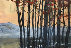 Crépuscule sur le petit boisé,2023