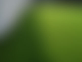 Benefits of Choosing an Artificial Turf Company