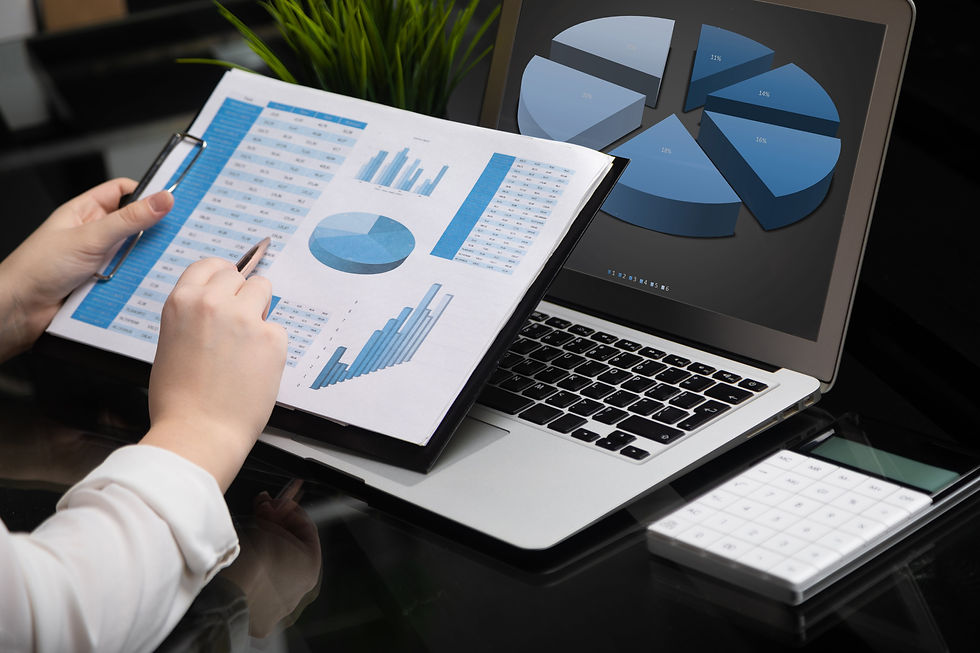 Fractional CFO going over financials