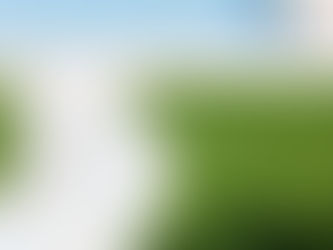 Does Artificial Turf Drain Well? Understanding Turf Systems
