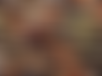 Organic Vegetable Seeds: Your Guide to Starting a Garden