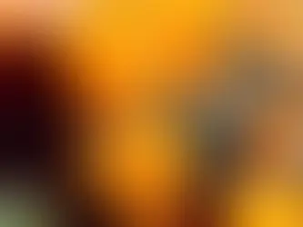 Prenditi cura correttamente della Calathea Crocata