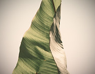 pierre-chatel-innocenti-muMR2IhCbZ0-unsp