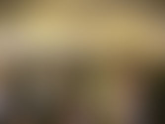 Bringing a gender lens to the financial services industry