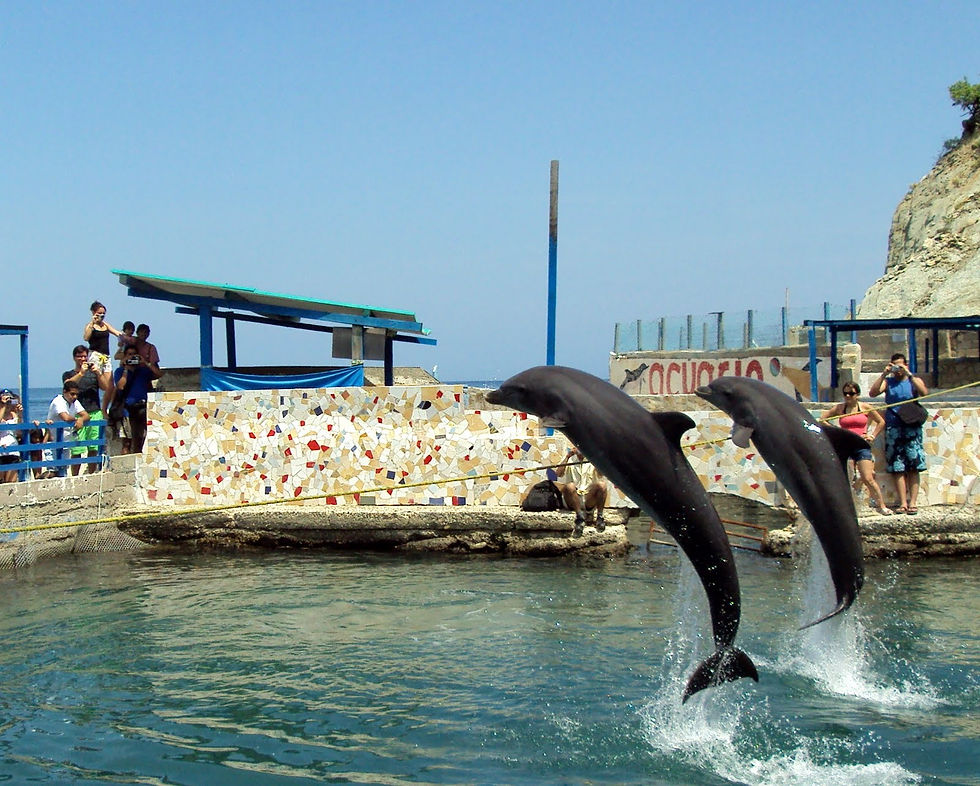Acuario