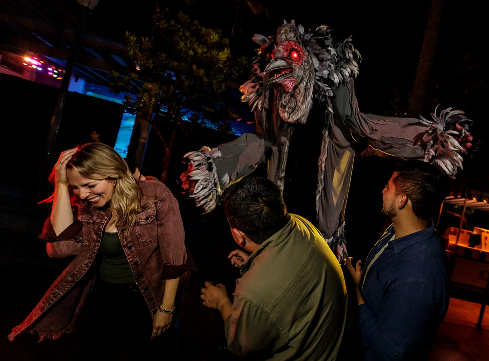 Photo courtesy of USH.