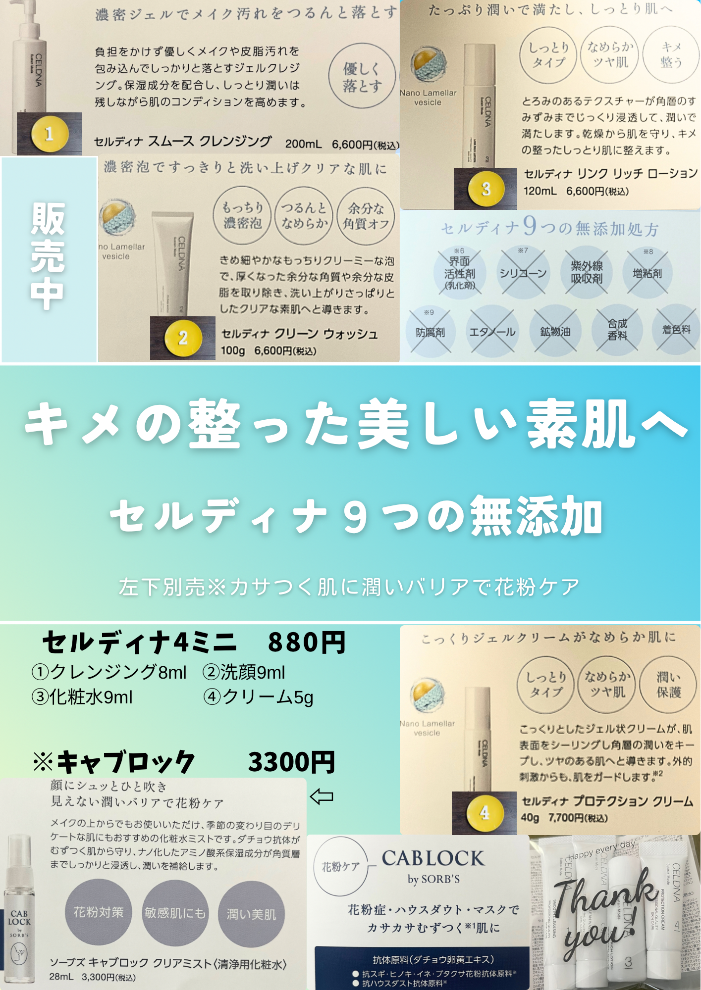 セルディナ4ミニ