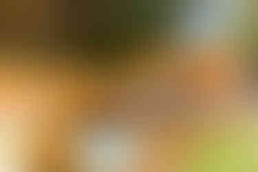 Garden room with raised terrace seating and garden furniture