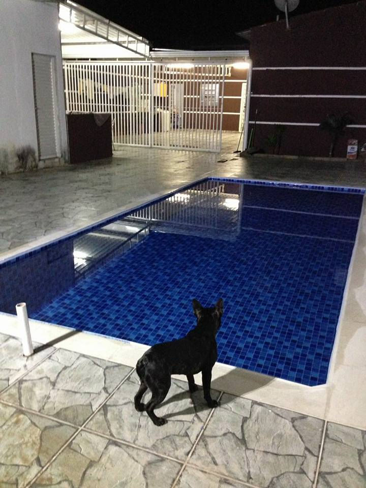polymaxpiscina