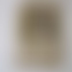 Le petit musée: Imagerie d'Edmond Sornein