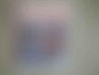 Le petit musée: les Martine