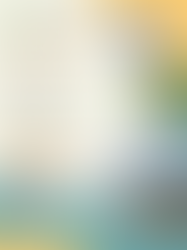 香港學生入川研習交流活動 - 公益體驗篇