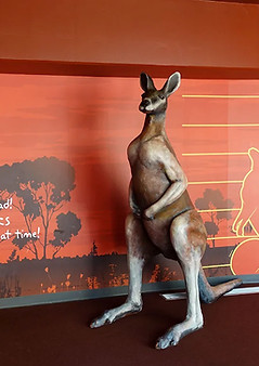 Wild-Life-Sydney-Zoo_17_DSC02675 (1).jpg