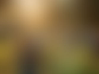 Sweat and Support: The Mental Health Benefits of a Fitness Community