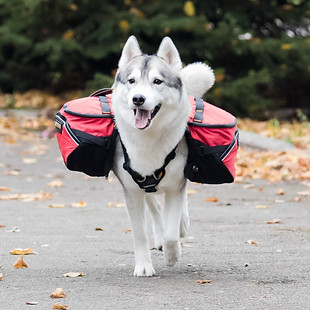 [fcrb хаскі хаски husky рюкзакдля собаки bag for dog