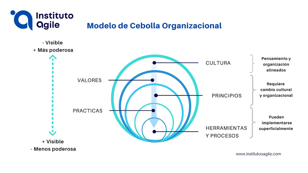 La cultura de la organización debe, eventualmente, transicionar a una cultura ágil, el estilo de liderazgo debe ser acorde, los valores y los principios que la organización promueve deben estar alineados con los principios ágiles (Agile Manifesto), las habilidades, conocimientos y capacidades deben estar alineadas con la mentalidad ágil (Agile Mindset).