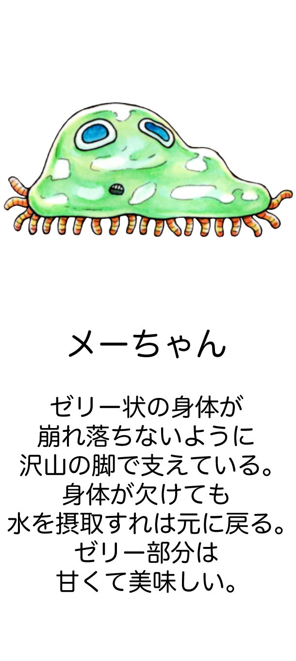 メーちゃん