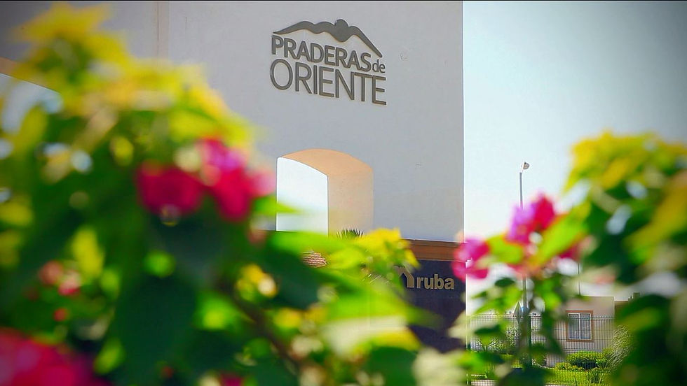 Praderas-5