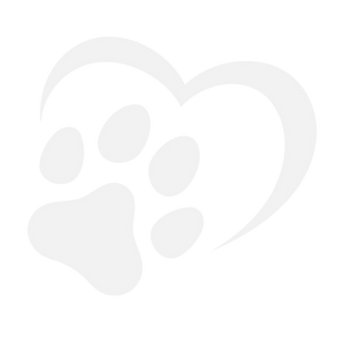 All 4 Paws Paw.png