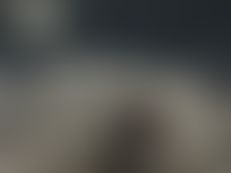 SEKIRO《隻狼：暗影雙死》永真和老年一心打法攻略