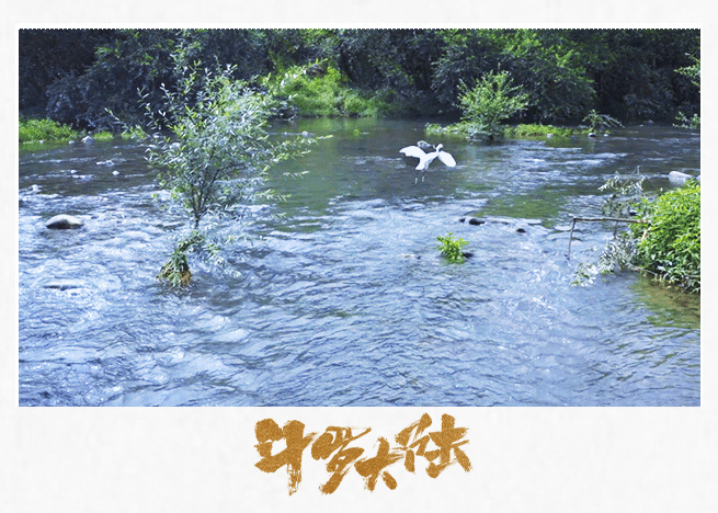 電視劇《斗羅大陸》:看完7集,真正打開“新大陸”