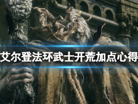 Elden Ring《艾爾登法環》武士開荒加點心得