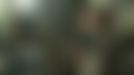 梅艳芳｜欠刘德华角色令影迷失望　呢位内地演员系最佳人选