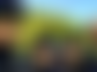 56岁邵美琪两年冇剧出街激罕现身发哥行山队　素颜上阵真面目惊人