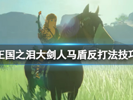 《薩爾達傳說王國之淚》大劍人馬盾反打法技巧