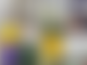 赵雅芝孖儿子黄恺杰拍片曝光独栋别墅　欧陆风设计有自家庭院