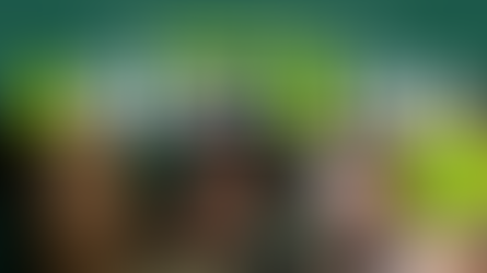 铁拳英雄｜演员中期评核报告　陈展鹏担大旗但系绿叶仲抢镜