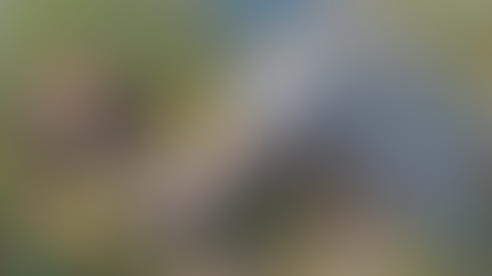 AOE4《世紀帝國4》中國投彈兵應對方法