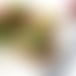 Cajun Seasoned Salmon Patties