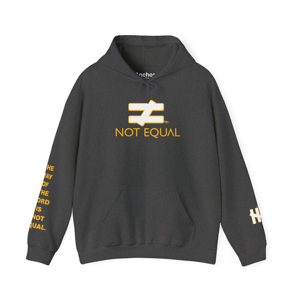 Thumbnail: NOT EQUAL TM iYW Hoodie