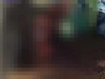 Mulher é morta com dezenas de tiros na cabeça na Bahia