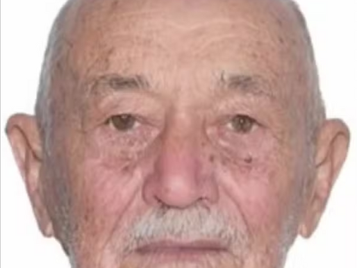 Idoso de 86 anos morre após ser atacado por abelhas na zona rural de Guanambi
