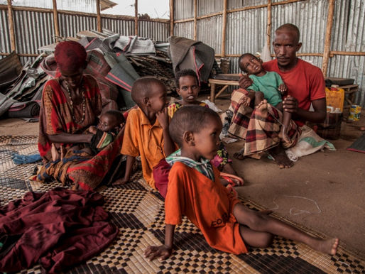 Cerca de 820 milhões de pessoas passam fome no mundo, estima ONU