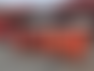 Cão farejador reforça buscas por mulher arrastada por enxurrada em Vitória da Conquista