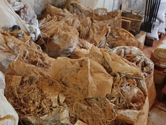 Fezes de roedores: Fábricas clandestinas de temperos são interditadas em Vitória da Conquista