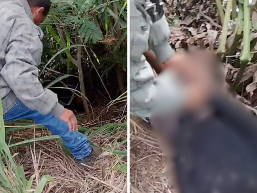 Mulher é resgatada ferida e amarrada em tentativa de feminicídio em Itapetinga