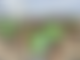 Mais de 600 atletas participam da 2ª Corrida do Simtrans em Vitória da Conquista