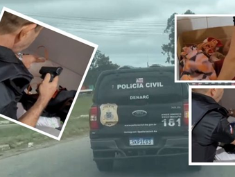 Polícia Civil deflagra operação contra o tráfico em Vitória da Conquista e prende 9 suspeitos