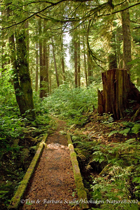 Narrow Passage