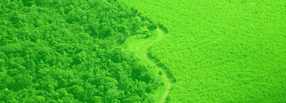 RIMA 1_edited_edited.jpg