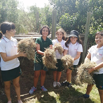 PHOTO-2026-01-07-12-28-39 4.jpg