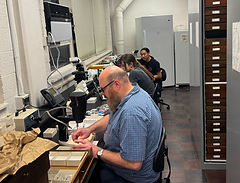 Entomologists in NC State Insect Museum