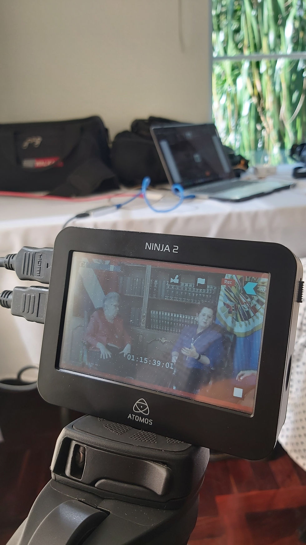 Transmisión en línea